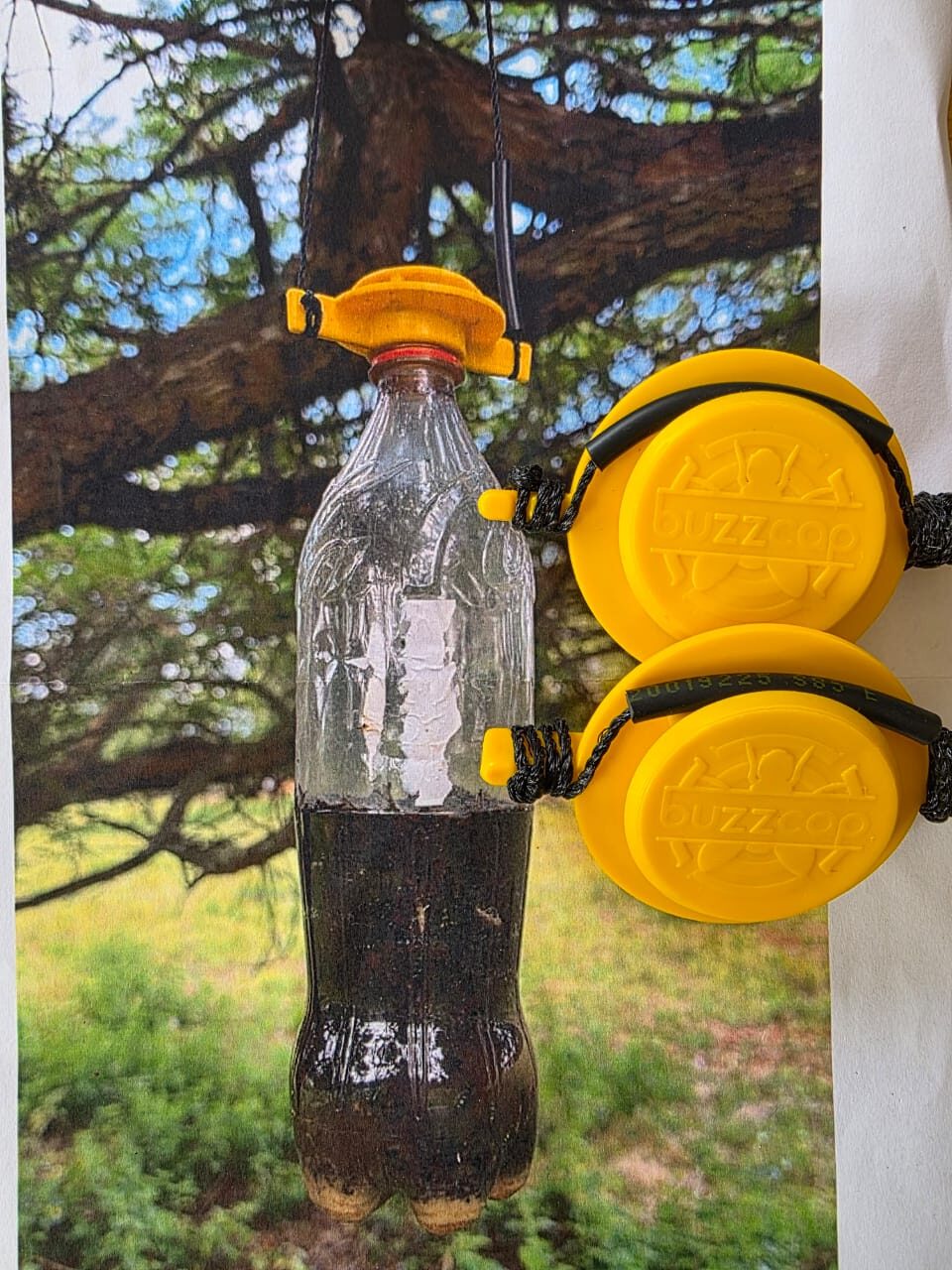 Buzz Cap Fly Trap –  Reusable Fly Control