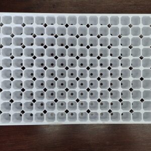 200-Cavity Polypropylene Seed Tray