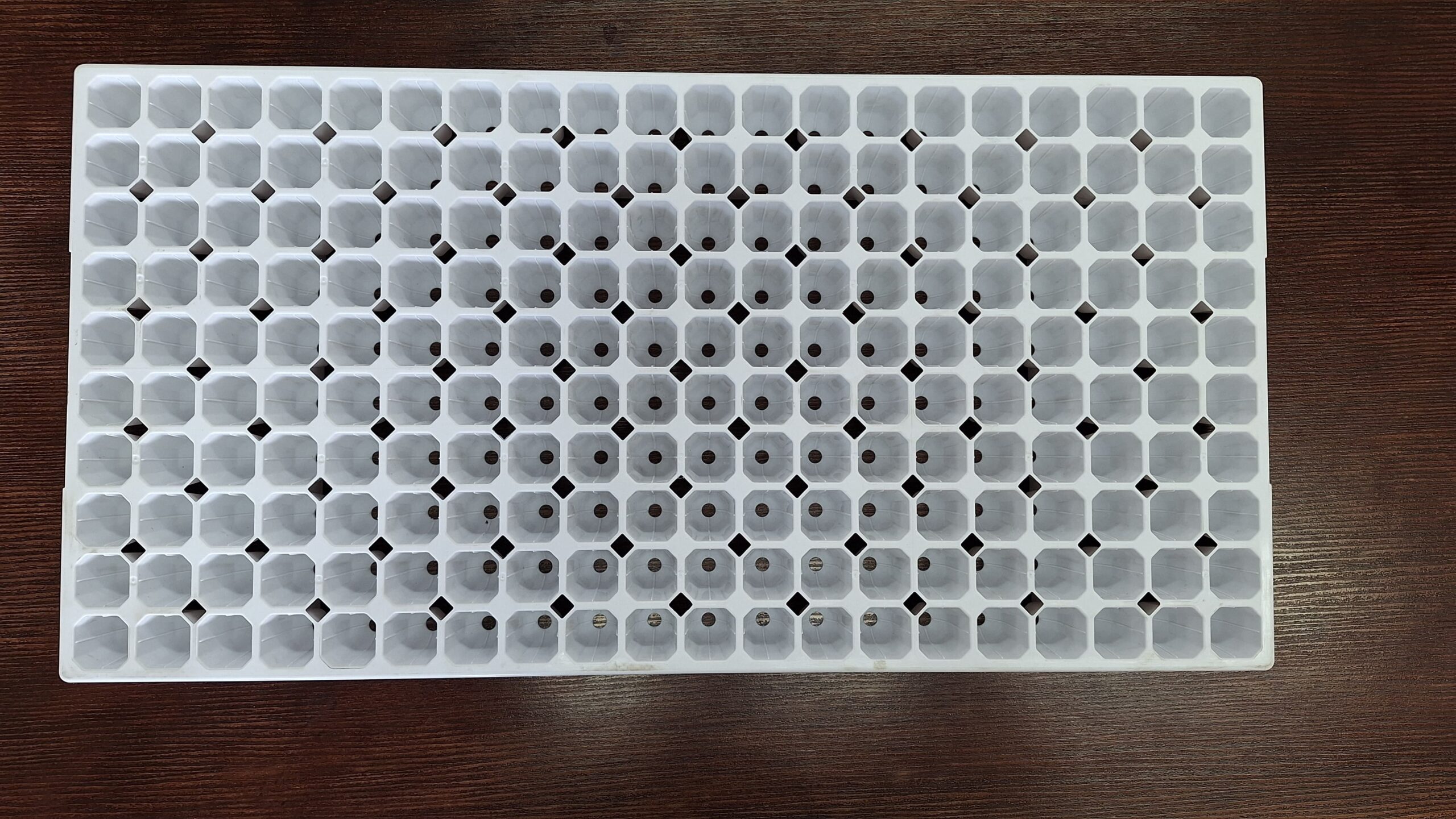 200-Cavity Polypropylene Seed Tray